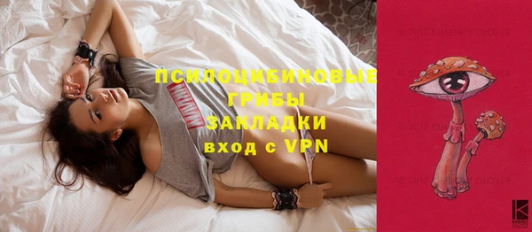 крисы Баксан