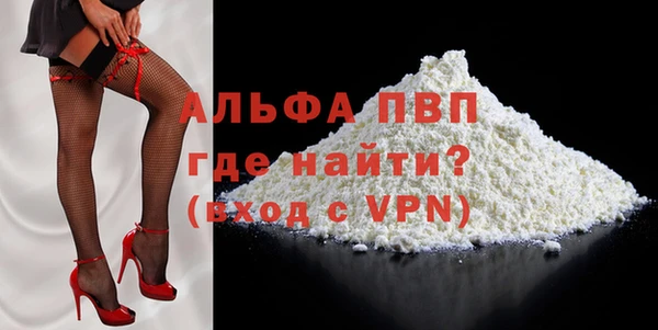 молекула духа Богородицк