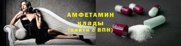молекула духа Богородицк