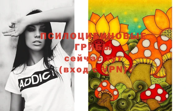крисы Баксан