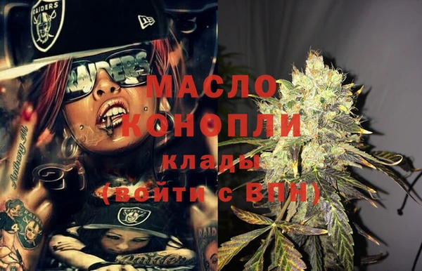 молекула духа Богородицк