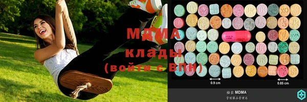 молекула духа Богородицк