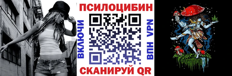 купить  сайты  Белый  Галлюциногенные грибы Cubensis 